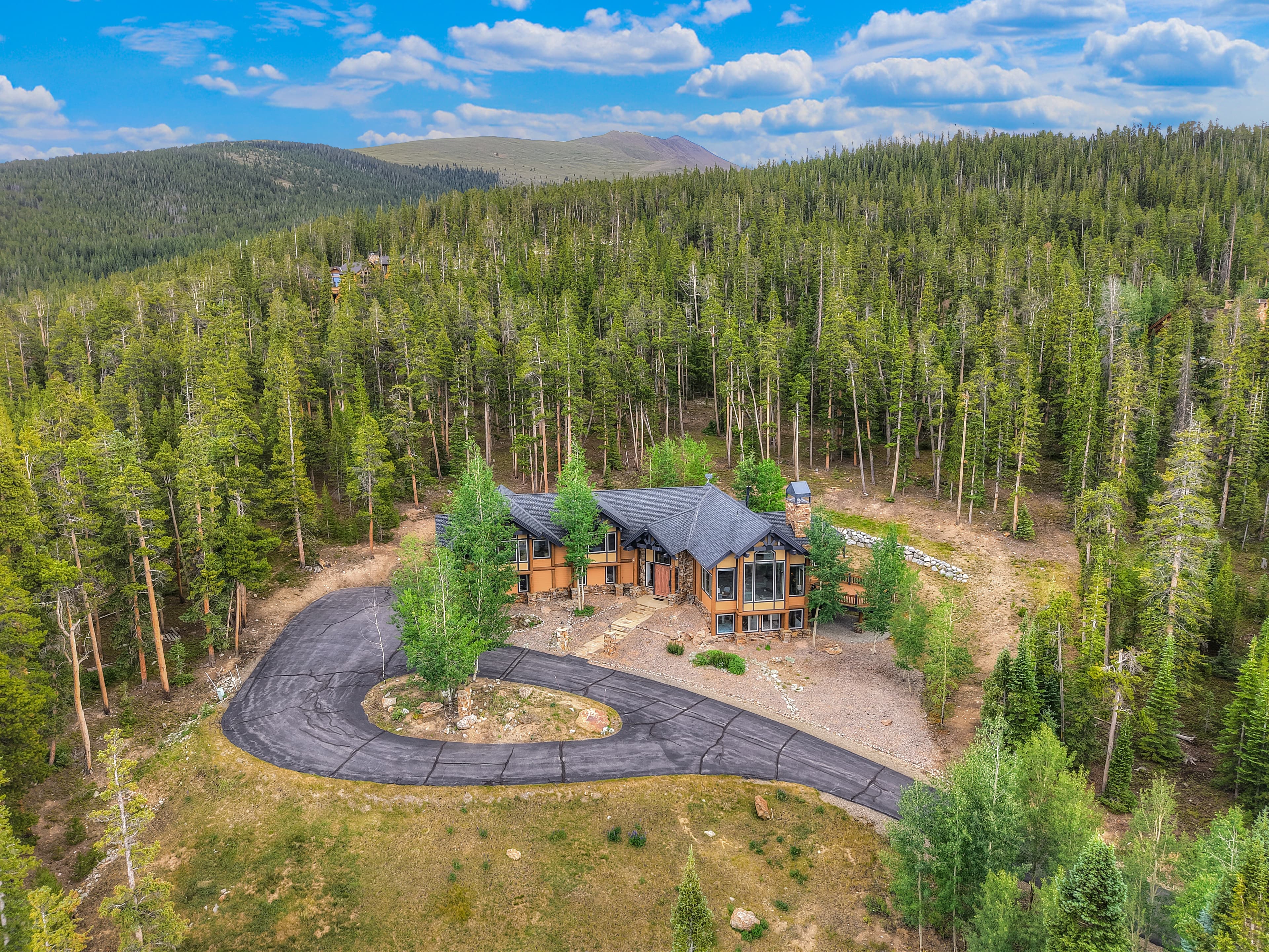 264 Little Sallie Barber Trail, Breckenridge, CO 80424